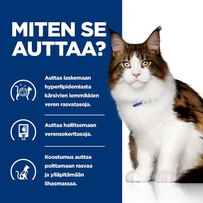 MITEN SE AUTTAA? Auttaa laskemaan hyperlipidemiasta kärsivien lemmikkien veren rasvatasoja. Auttaa hallitsemaan verensokeritasoja. Koostumus auttaa polttamaan rasvaa ja ylläpitämään lihasmassaa.