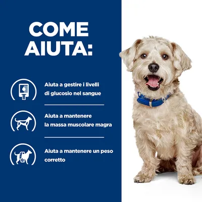 Come aiuta: aiuta a gestire i livelli di glucosio nel sangue, a mantenere la massa muscolare magra e un peso corretto. Immagine di cane con collare blu.