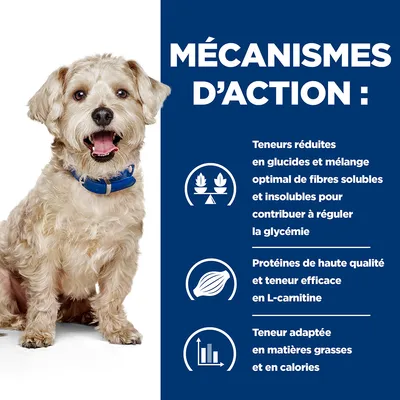 MÉCANISMES D’ACTION : Teneurs réduites en glucides, fibres solubles et insolubles, protéines de haute qualité, L-carnitine, teneur adaptée en matières grasses et calories.