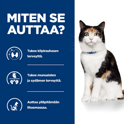 Teksti: Miten se auttaa? Tukee kilpirauhasen terveyttä. Tukee munuaisten ja sydämen terveyttä. Auttaa ylläpitämään lihasmassaa. Kuvassa myös kissa.