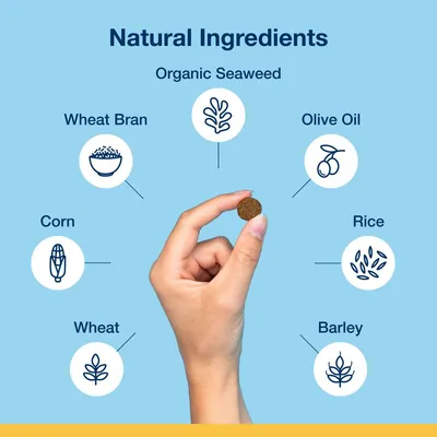 Natural ingredients shown: organic seaweed, wheat bran, olive oil, rice, barley, wheat and corn. A hand holds a round food piece in the centre.