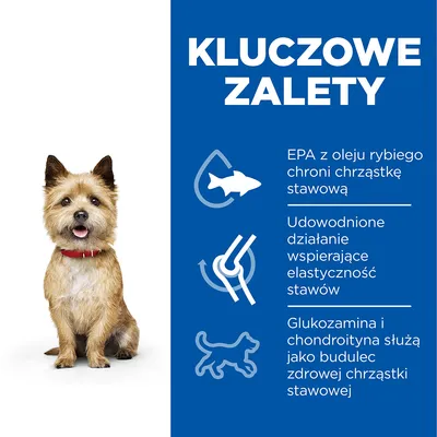 Kluczowe zalety: EPA z oleju rybiego chroni chrząstkę stawową, udowodnione działanie wspierające elastyczność stawów, glukozamina i chondroityna budują zdrową chrząstkę stawową.