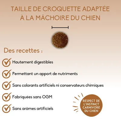 Taille de croquette adaptée à la mâchoire du chien. Recettes : hautement digestibles, apport de nutriments, sans colorants ni conservateurs artificiels, sans OGM, sans arômes artificiels.