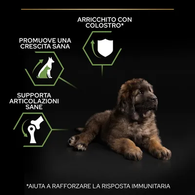 Promuove una crescita sana, supporta articolazioni sane, arricchito con colostro, aiuta a rafforzare la risposta immunitaria. Immagine di un cucciolo sdraiato su sfondo nero.