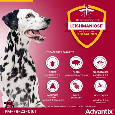 Advantix réduit le risque de leishmaniose jusqu’à 3 semaines. Efficace contre tiques, puces, phlébotomes, mouches d’étable, poux broyeurs, moustiques. Ne pas utiliser sur les chats.