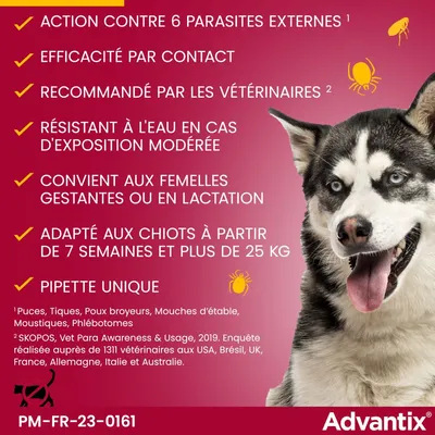 Advantix : action contre 6 parasites externes, efficacité par contact, recommandé par les vétérinaires, résistant à l'eau, convient aux femelles gestantes, adapté aux chiots dès 7 semaines, pipette unique.