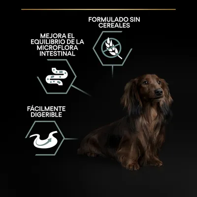 Perro junto a iconos con textos: 'Mejora el equilibrio de la microflora intestinal', 'Fácilmente digerible', 'Formulado sin cereales'.