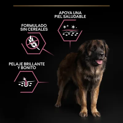 Perro grande junto a iconos y textos: 'Formulado sin cereales', 'Apoya una piel saludable', 'Pelaje brillante y bonito'.