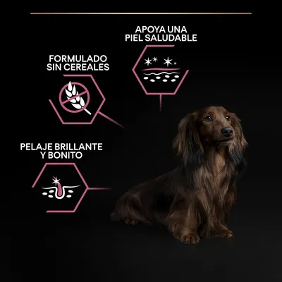 Perro de pelo largo junto a iconos y textos: formulado sin cereales, apoya una piel saludable, pelaje brillante y bonito.