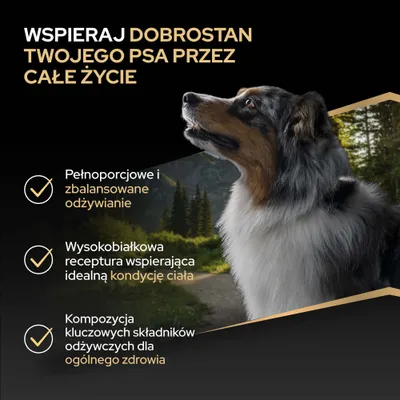 Pełnowartościowe i zbilansowane żywienie, receptura bogata w białko dla idealnej kondycji ciała, kompozycja ważnych składników odżywczych dla ogólnego zdrowia. Pełnowartościowe i zbilansowane żywienie, receptura bogata w białko dla idealnej kondycji ciała, kompozycja ważnych składników odżywczych dla ogólnego zdrowia.