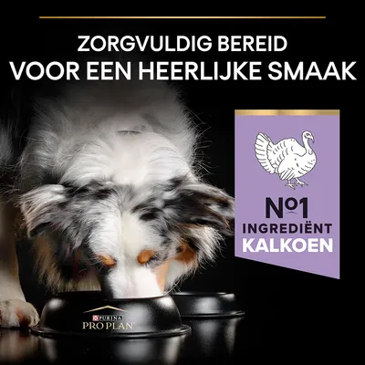 Purina Pro Plan hondenvoer, tekst: 'Zorgvuldig bereid voor een heerlijke smaak', 'Nr 1 ingrediënt kalkoen', afbeelding van hond etend uit bak.