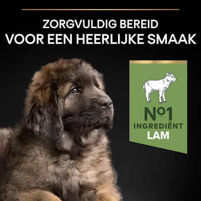 Zorgvuldig bereid voor een heerlijke smaak. Nr 1 ingrediënt: lam. Afbeelding van een puppy en een icoon van een schaap met tekst over het hoofdingrediënt.