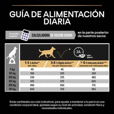 Guía de alimentación diaria para perros según peso y nivel de actividad: 1–3 h, 3–6 h, más de 6 h. Ejemplo: 10 kg, 180 g (activo), 205 g (muy activo), 260 g (intensamente activo).