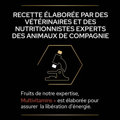 Recette élaborée par des vétérinaires et nutritionnistes experts. Fruits de notre expertise, Multivitamins + est élaborée pour assurer la libération d'énergie.