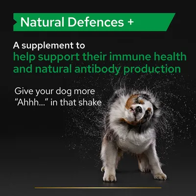 Natural Defences +. A supplement to help support their immune health and natural antibody production. Give your dog more 'Ahhh...' in that shake (κείμενο στα αγγλικά).