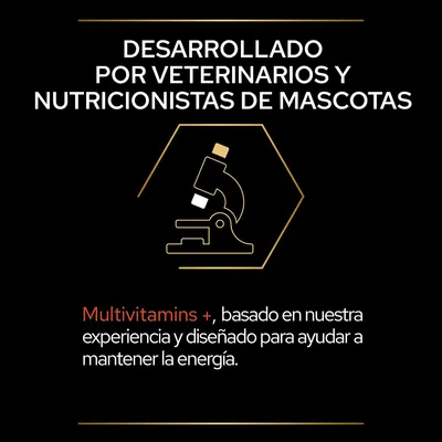 Desarrollado por veterinarios y nutricionistas de mascotas. Multivitamins +, basado en nuestra experiencia y diseñado para ayudar a mantener la energía.