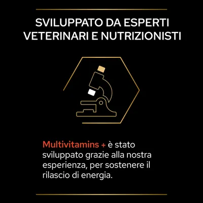 SVILUPPATO DA ESPERTI VETERINARI E NUTRIZIONISTI. Multivitamins + è stato sviluppato grazie alla nostra esperienza, per sostenere il rilascio di energia.