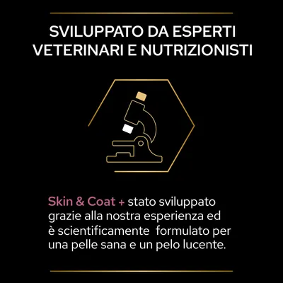 Sviluppato da esperti veterinari e nutrizionisti. Skin & Coat + stato sviluppato grazie alla nostra esperienza ed è scientificamente formulato per una pelle sana e un pelo lucente.