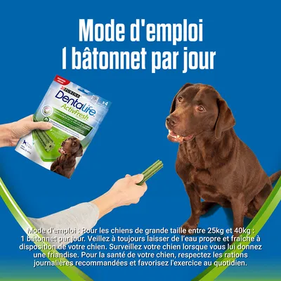 Purina Dentalife ActivFresh, mode d'emploi : 1 bâtonnet par jour pour chiens de 25–40 kg. Conseils : eau fraîche disponible, surveiller le chien, respecter les rations et exercice quotidien.