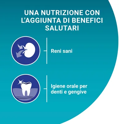 UNA NUTRIZIONE CON L’AGGIUNTA DI BENEFICI SALUTARI. Reni sani. Igiene orale per denti e gengive.