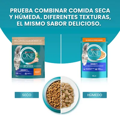 Comida para gatos Purina ONE Senior 7+ en formato seco y húmedo. Imagen de ambos envases y cuencos con comida seca y húmeda, etiquetas: 'SECO' y 'HÚMEDO'.