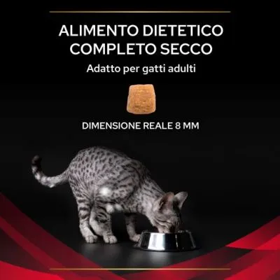 Alimento dietetico completo secco, adatto per gatti adulti. Dimensione reale 8 mm. Gatto grigio tigrato che mangia da una ciotola metallica.