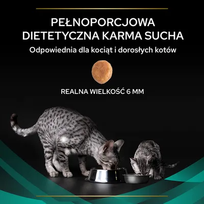 Pełnoporcjowa dietetyczna karma sucha, odpowiednia dla kociąt i dorosłych kotów. Realna wielkość granulki: 6 mm. Dwa koty jedzą z metalowych misek.