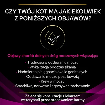 Objawy chorób dolnych dróg moczowych u kota: trudności w oddawaniu moczu, wokalizacja podczas sikania, nadmierna pielęgnacja okolic genitalnych, krew w moczu. Zaleca się konsultację z weterynarzem.