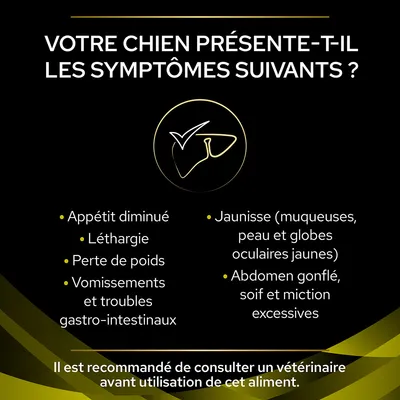 Votre chien présente-t-il les symptômes suivants ? Appétit diminué, léthargie, perte de poids, vomissements, troubles gastro-intestinaux, jaunisse, abdomen gonflé, soif et miction excessives. Consultez un vétérinaire.