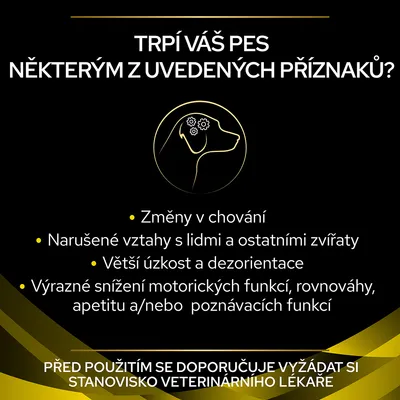Trpí váš pes některým z uvedených příznaků? Změny v chování, narušené vztahy, větší úzkost, dezorientace, snížení motoriky, rovnováhy, apetitu nebo poznávacích funkcí. Doporučení veterináře.