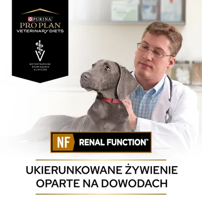 Purina Pro Plan Veterinary Diets, NF Renal Function, weterynaryjne rozwiązania kliniczne, ukierunkowane żywienie oparte na dowodach. Pies u weterynarza.