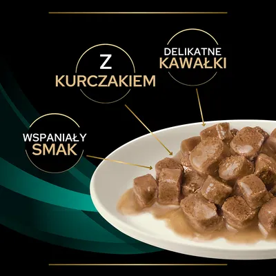 Z kurczakiem, delikatne kawałki, wspaniały smak – tekst na grafice z widoczną porcją karmy w sosie na białym talerzu.
