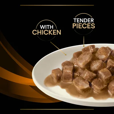 Image shows food with chicken and tender pieces in gravy on a plate, highlighting key features: 'with chicken' and 'tender pieces'.