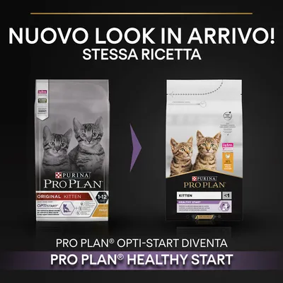 Nuovo look in arrivo! Stessa ricetta. PRO PLAN Opti-Start diventa PRO PLAN Healthy Start. Immagine di due confezioni di crocchette per gattini Purina Pro Plan.