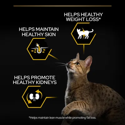 Teksti: Helps maintain healthy skin, helps healthy weight loss, helps promote healthy kidneys. Alhaalla: *Helps maintain lean muscle while promoting fat loss.