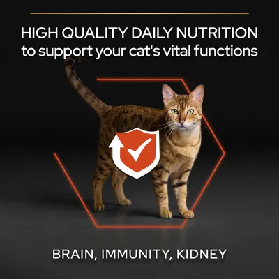 High quality daily nutrition to support cat's brain, immunity and kidney functions. Image shows a cat with a shield icon indicating protection.