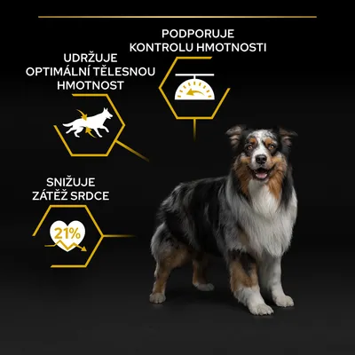Text: Udržuje optimální tělesnou hmotnost, podporuje kontrolu hmotnosti, snižuje zátěž srdce 21 %. Obrázek psa a grafické ikony.