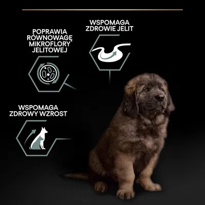 Teksty: poprawia równowagę mikroflory jelitowej, wspomaga zdrowie jelit, wspomaga zdrowy wzrost. Obok siedzi szczeniak.