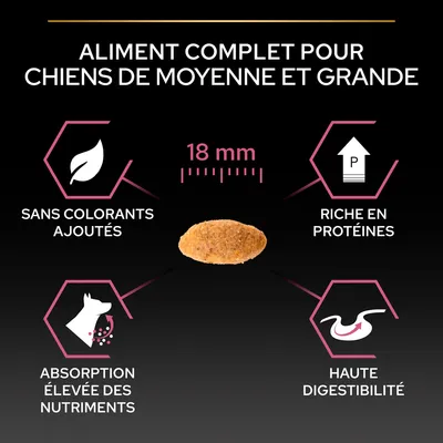 Aliment complet pour chiens de moyenne et grande taille, croquette 18 mm, sans colorants ajoutés, riche en protéines, absorption élevée des nutriments, haute digestibilité.