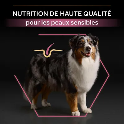 Texte : NUTRITION DE HAUTE QUALITÉ pour les peaux sensibles, avec un chien debout et un schéma stylisé sur le dos. Texte en français de Belgique.