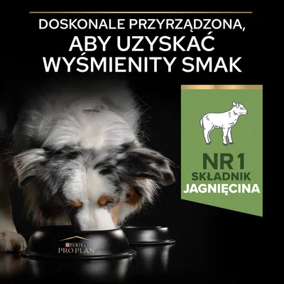 Tekst: Doskonale przyrządzona, aby uzyskać wyśmienity smak. NR 1 składnik jagnięcina. Pies je z miski Purina Pro Plan.