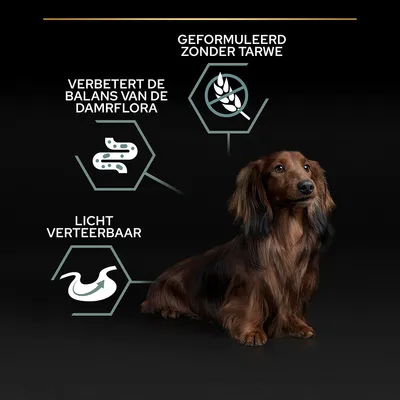Tekst: Geformuleerd zonder tarwe, verbetert de balans van de darmflora, licht verteerbaar. Afbeelding van een langharige hond naast deze productclaims.