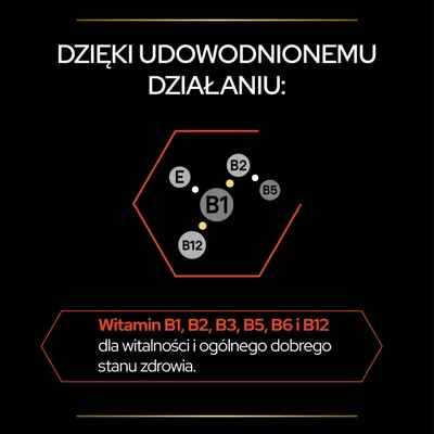Witamin B1, B2, B3, B5, B6 i B12 dla witalności i ogólnego dobrego stanu zdrowia. Widoczne symbole witamin: B1, B2, B5, B12, E.