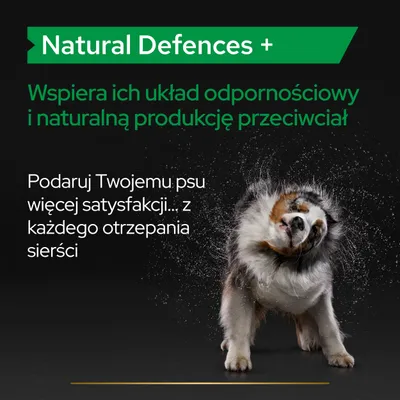 Natural Defences+. Wspiera ich układ odpornościowy i naturalną produkcję przeciwciał. Podaruj Twojemu psu więcej satysfakcji... z każdego otrzepania sierści.