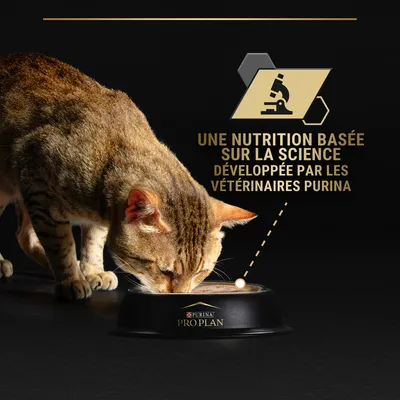 Texte : Une nutrition basée sur la science développée par les vétérinaires Purina. Chat mangeant dans une gamelle noire avec marque Purina Pro Plan visible.
