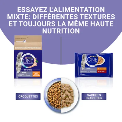 Purina ONE Bifensis Adult, hrană uscată și plicuri umede pentru pisici. Text în franceză: ESSAYEZ L’ALIMENTATION MIXTE: DIFFÉRENTES TEXTURES ET TOUJOURS LA MÊME HAUTE NUTRITION.