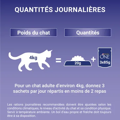 Conseils d’alimentation pour chat adulte 4 kg : 20 g de croquettes et 3 sachets Purina ONE 85 g par jour, à répartir en moins de 2 repas. Eau propre toujours disponible.