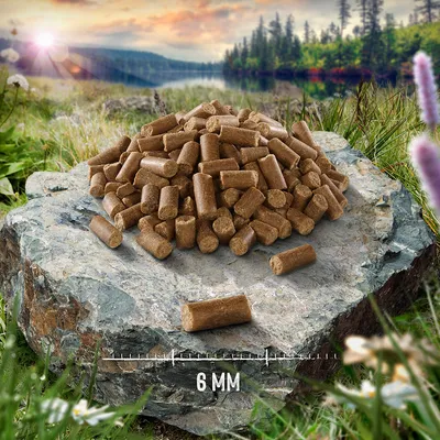 Pellets cylindriques marron posés sur une pierre, indication de taille : 6 mm visible au bas de l’image.