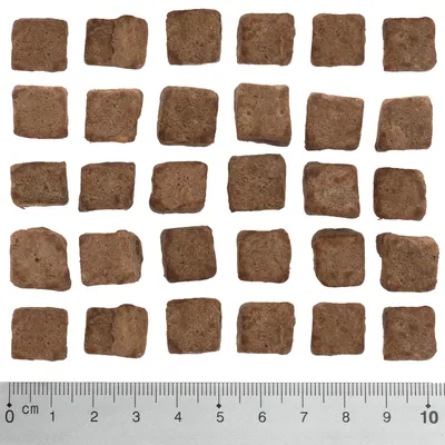 Kwadratowe brązowe kawałki karmy lub przysmaków ułożone w rzędach, pod nimi linijka z podziałką centymetrową od 0 do 10 cm pokazująca rozmiar produktu.