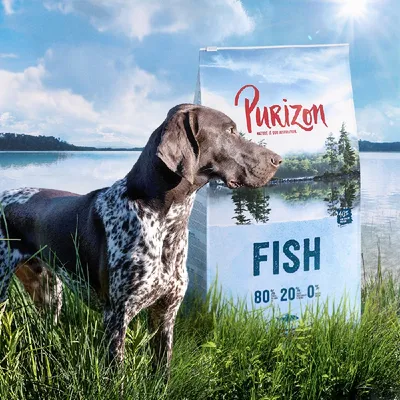 Purizon FISH, opakowanie karmy dla psów z widocznym napisem: 80 % 20 % 0 %. Obok stoi pies o krótkiej sierści w trawie nad jeziorem.